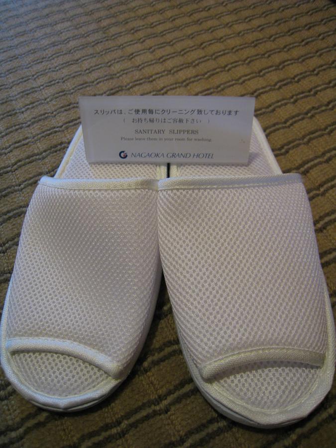 Nagaoka Grand Hotel Екстериор снимка